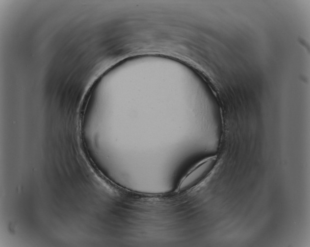 X0000091191517200709061003