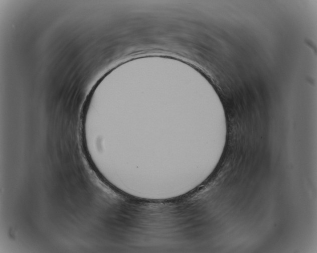 X0000091191518200709061003