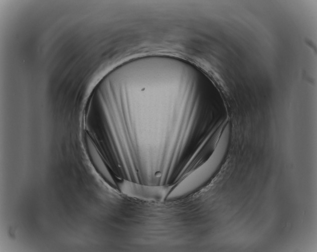 X0000091191520200709061003