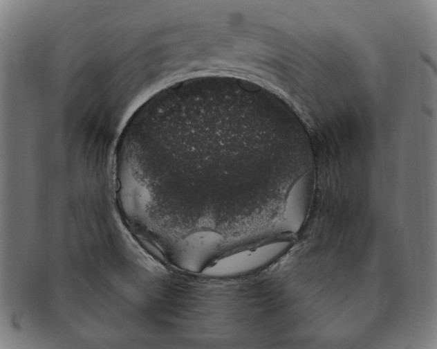 X0000091191522200709061003