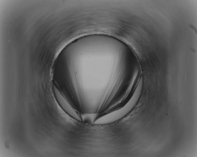 X0000091191524200709061003