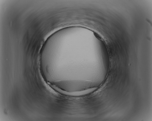 X0000091191526200709061003