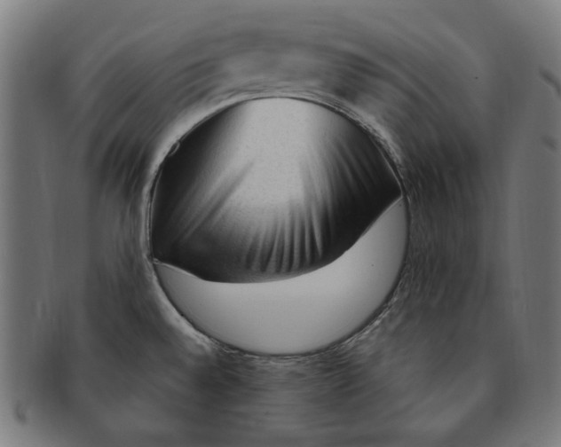 X0000091191528200709061003