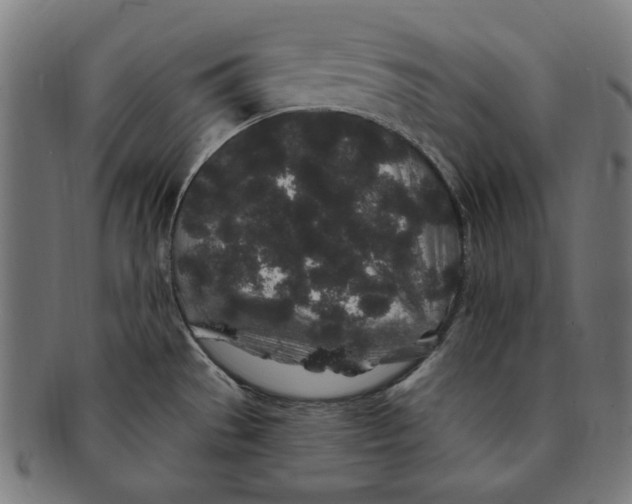 X0000091191529200709061003