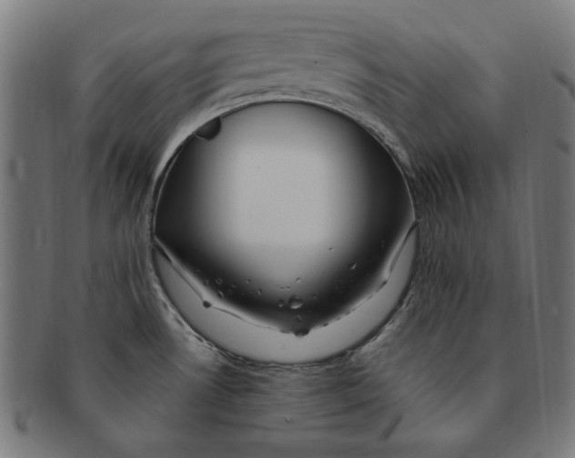 X0000091191530200709061003