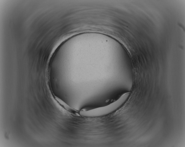 X0000091191531200709061003