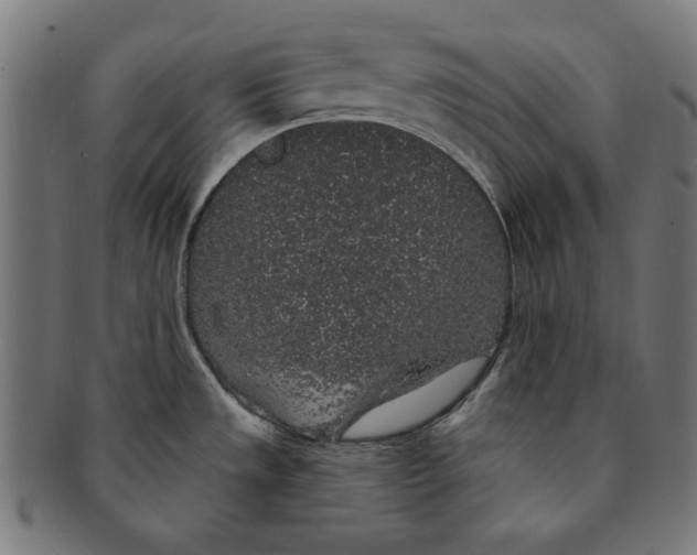 X0000091191533200709061003