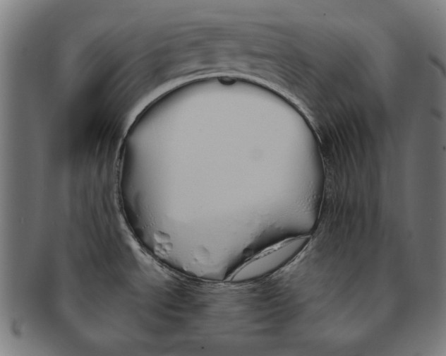 X0000091191534200709061003