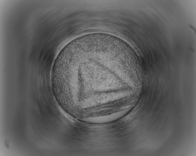 X0000091191535200709061003