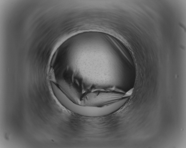 X0000091191536200709061003