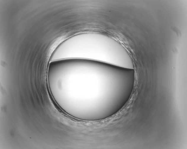 X0000091200003200708091048