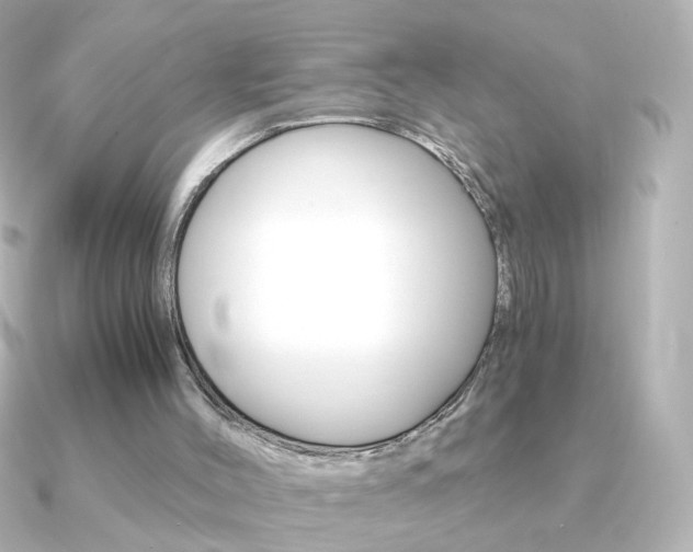 X0000091200004200708091048