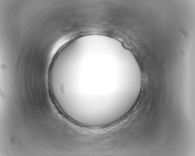 X0000091200006200708091048