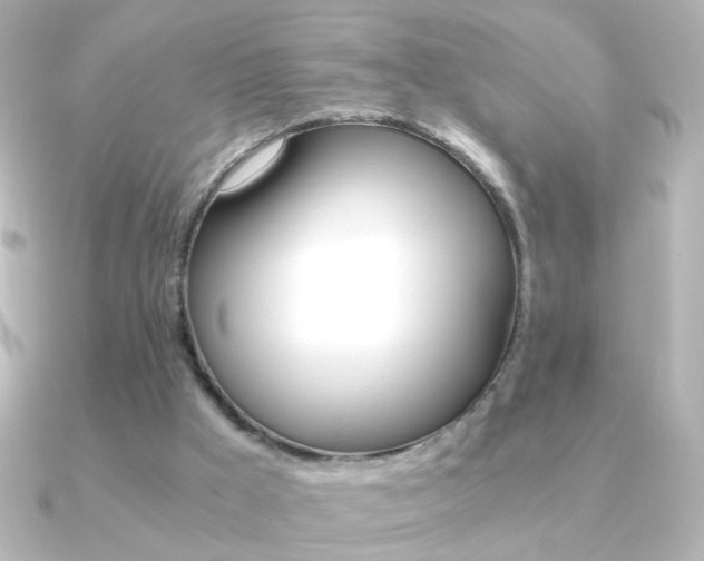 X0000091200009200708091048