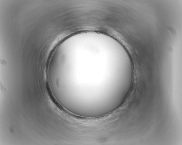 X0000091200011200708091048