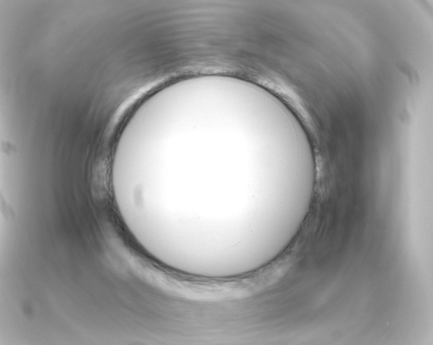 X0000091200012200708091048