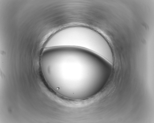 X0000091200015200708091048