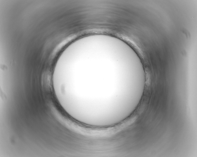 X0000091200016200708091048