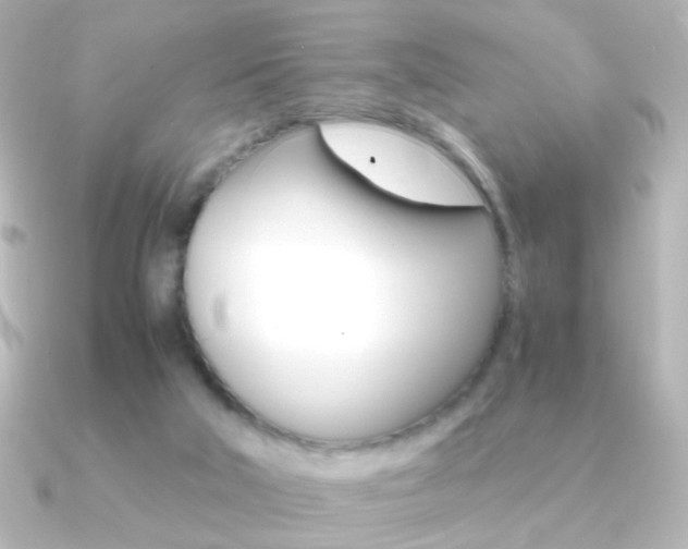 X0000091200018200708091048