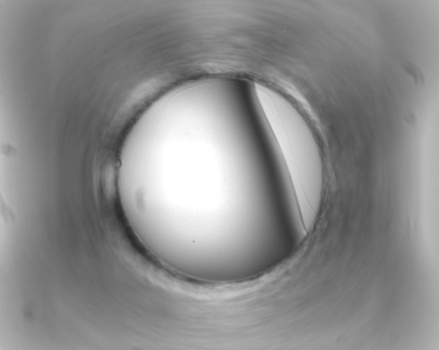 X0000091200019200708091048
