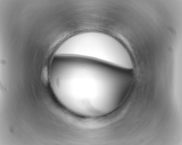 X0000091200020200708091048
