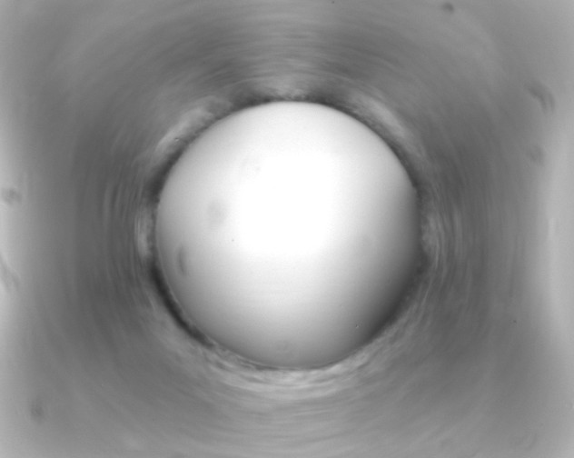 X0000091200023200708091048