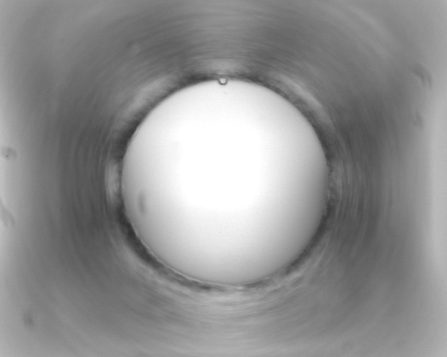 X0000091200024200708091048