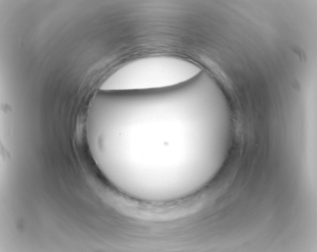 X0000091200026200708091048