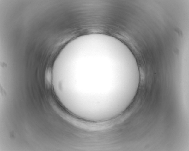 X0000091200028200708091048