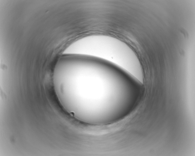 X0000091200029200708091048
