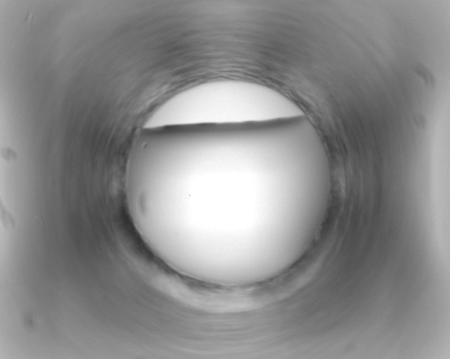 X0000091200032200708091048