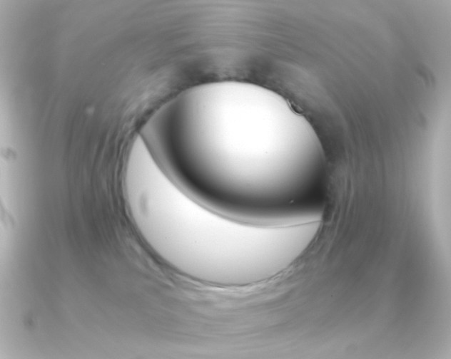 X0000091200039200708091048