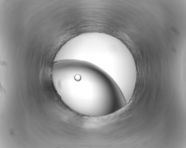 X0000091200045200708091047
