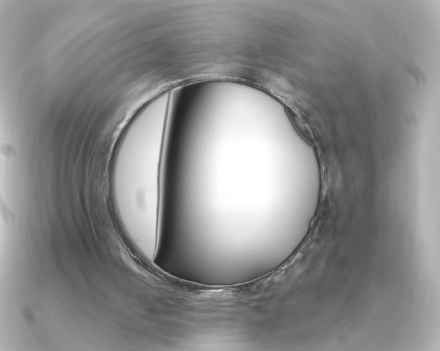 X0000091200050200708091047