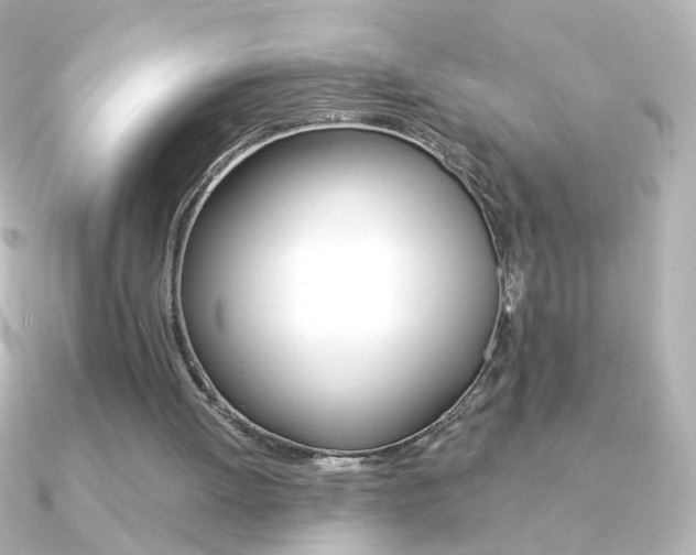 X0000091200052200708091047