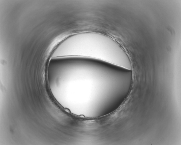 X0000091200054200708091047