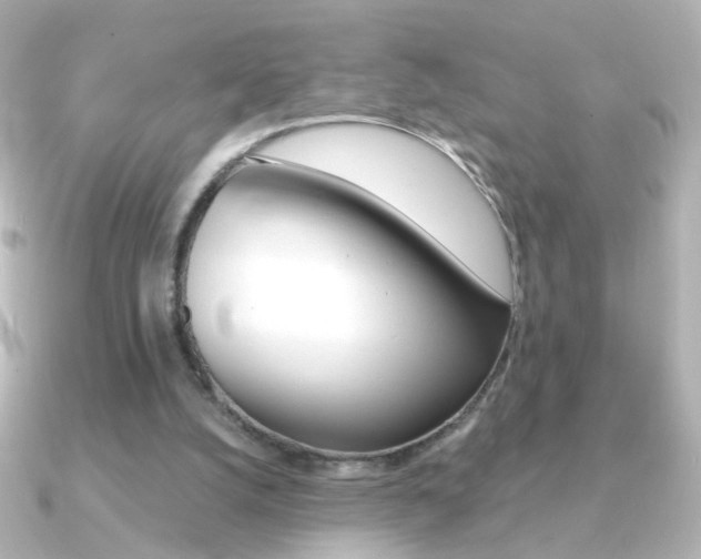 X0000091200056200708091047