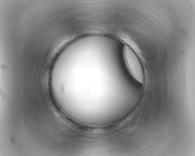 X0000091200058200708091047