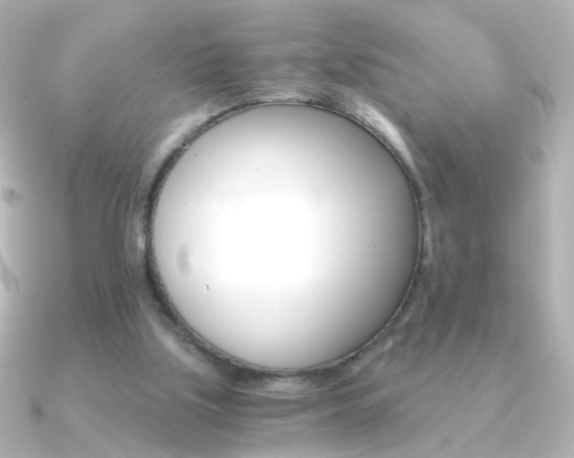 X0000091200059200708091047