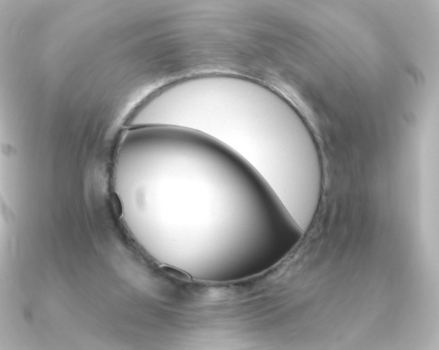 X0000091200060200708091047