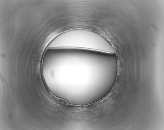 X0000091200099200708091047