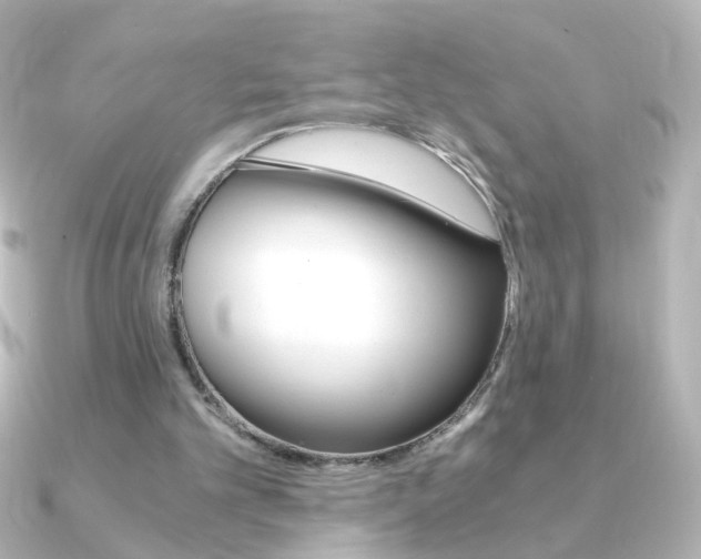 X0000091200101200708091047