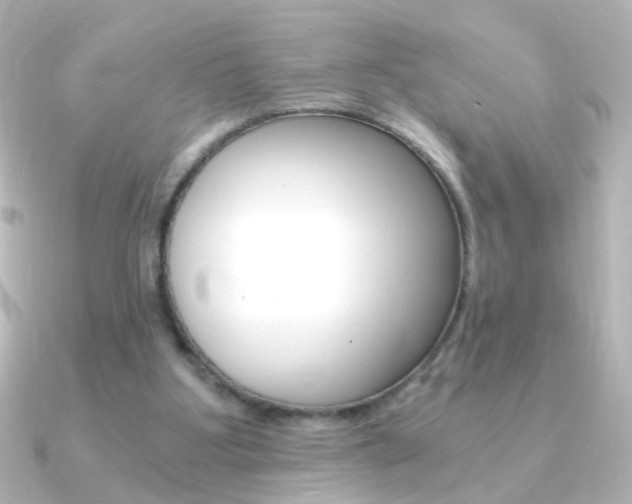 X0000091200107200708091047
