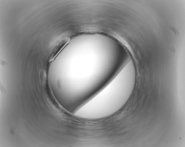 X0000091200109200708091047