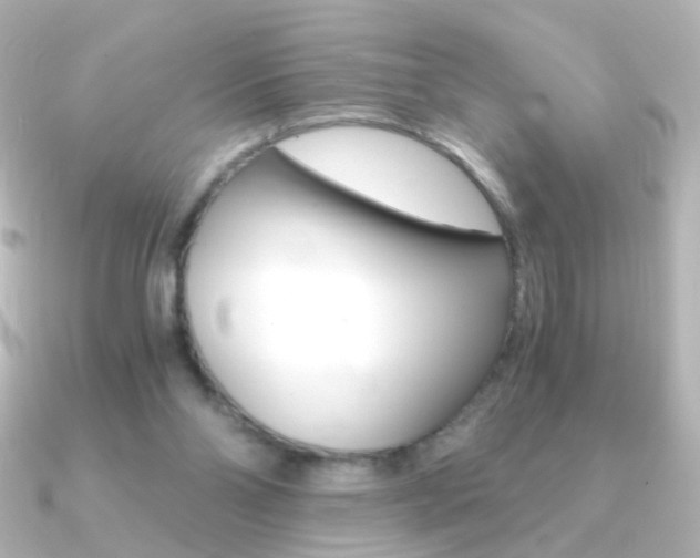 X0000091200110200708091047