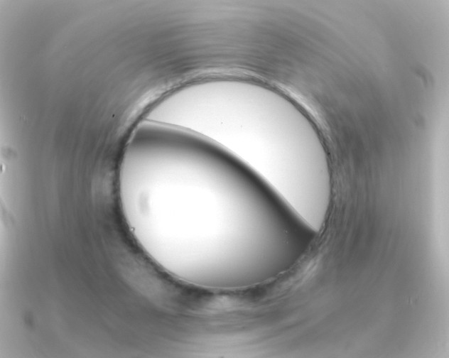 X0000091200111200708091047