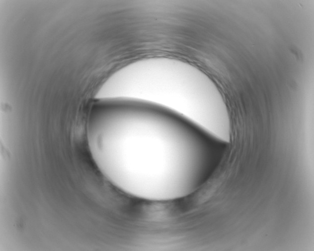 X0000091200129200708091047