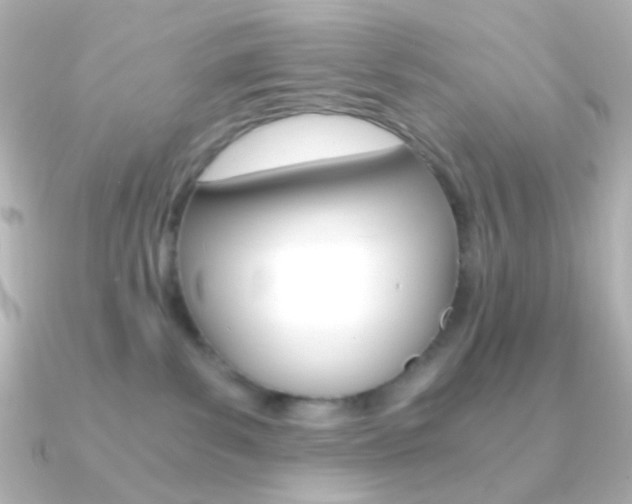 X0000091200139200708091046