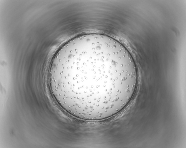 X0000091200145200708091046