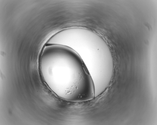 X0000091200148200708091046